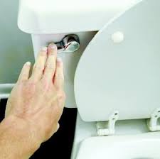 a hand flushing a toilet vocabulario en inglés