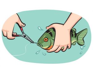 an animation of letting a fish off the hook vocabulario en inglés