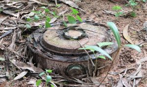 a landmine that looks like a tree trunk