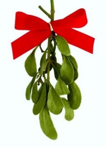 mistletoe