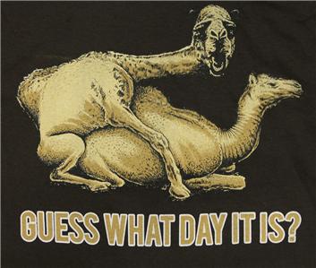 meme-camels-humping-text-guess-what-day-it-is-vocabulario-en-inglés