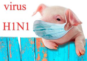 a picture of a pig wearing a surgical mask that represents the swine flu, aka h1n1--vocabulario en inglés