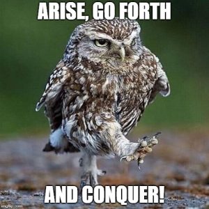 meme of an owl that looks like a marching soldier the text reads arise go forth and conquer--vocabulario en inglés--toluca lyric heat of the moment
